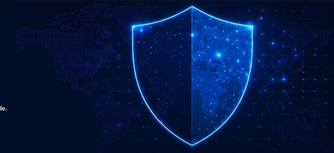 Institutional protection program cybersecurity shield